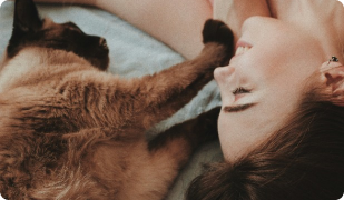 How to Exercise and Play with Your Cat - PetPlace