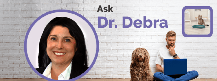 Dr. Debra Primovic discusses treatment for feline constipation.