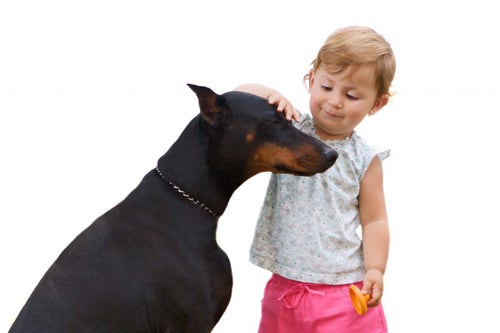 Are Dobermans Good with Children?