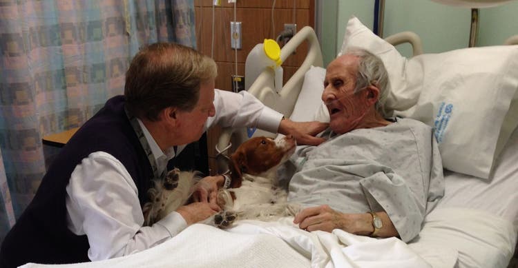 David Frei and a therapy dog comfort a hospital patient.