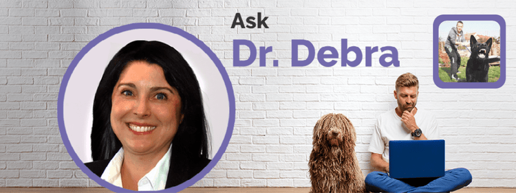 Dr. Debra Primovic lists the different types of dog aggression and recommends therapy.
