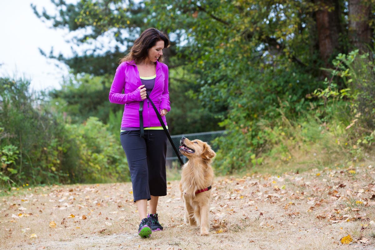 How to Walk a Dog