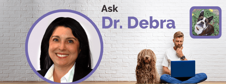 Dr. Debra Primovic answers questions about soft palate surgery.