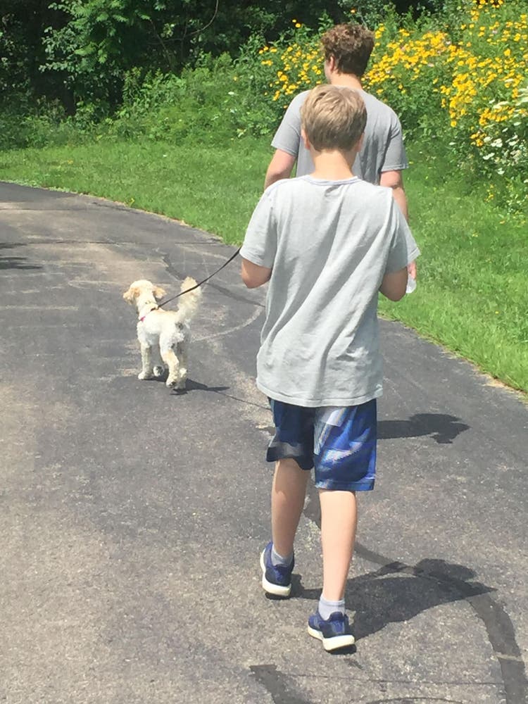walking a puppy