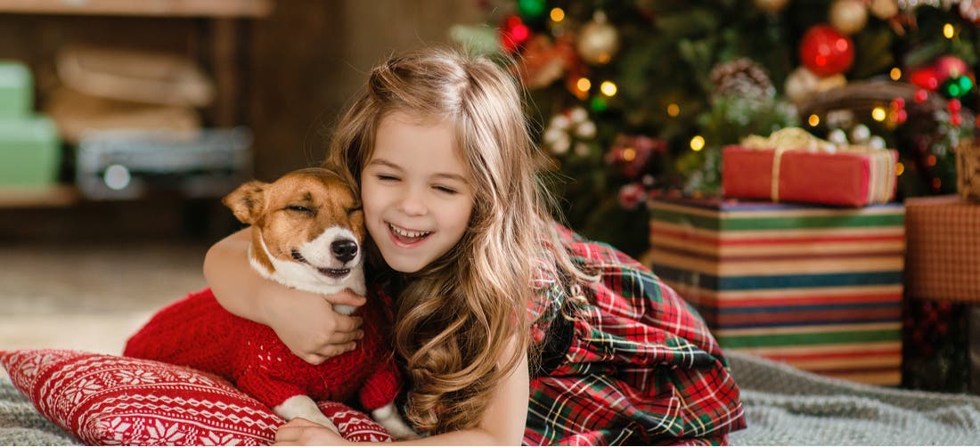 Best Christmas Themed Dog Names - PetPlace