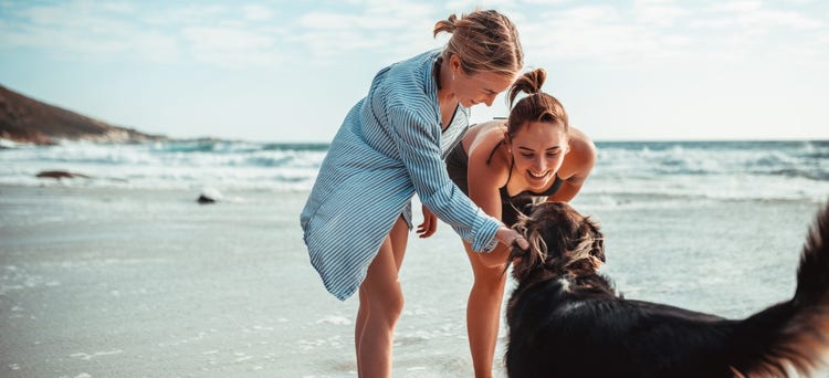 Two women playing with a dog on a beach Description automatically generated