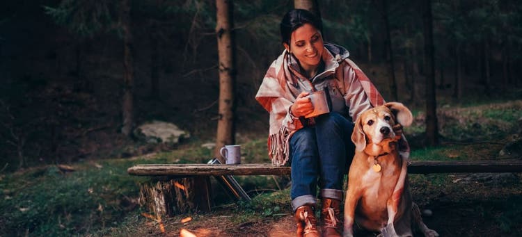 Planning a camping trip with your dog?