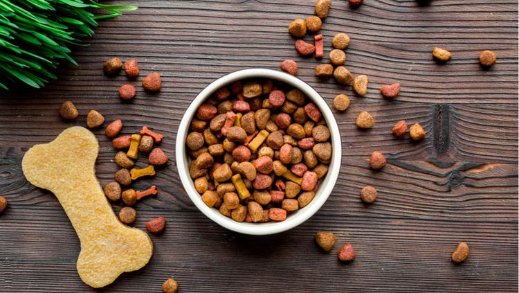 A bowl of dry dog food.