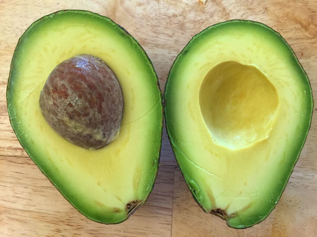 Are avocado hotsell safe for dogs