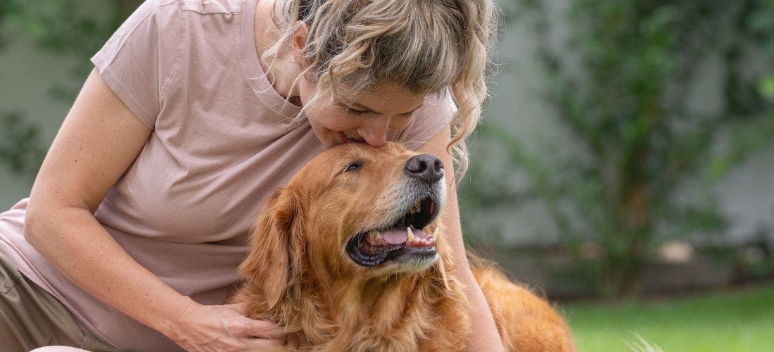 Anxious Dog? This Natural Supplement Could Be the Answer, PetPlace