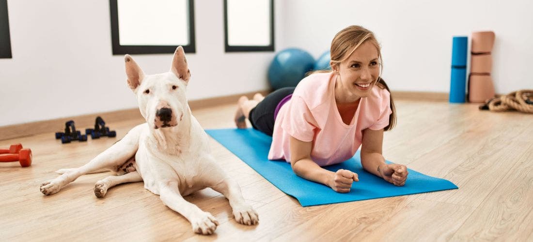 Canine Enrichment for Everyone - Self Study