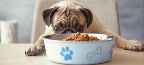 Adding fiber to dog 2024 diet