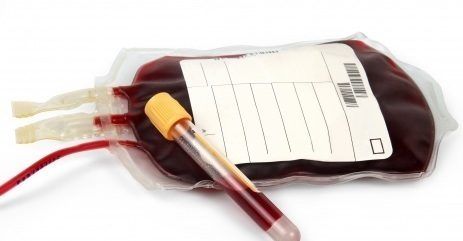 do dogs need blood transfusions