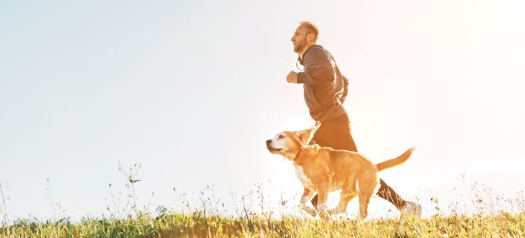 Can a dog exercise too much?