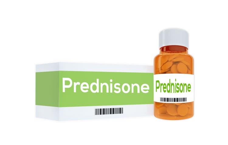 Methylprednisolone for dogs and cats