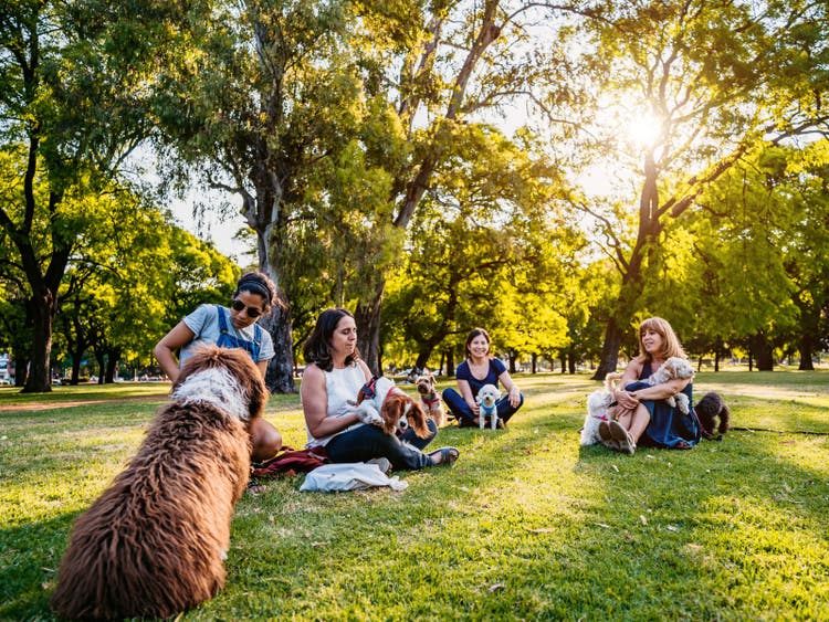 A group of people sitting on grass with dogs Description automatically generated