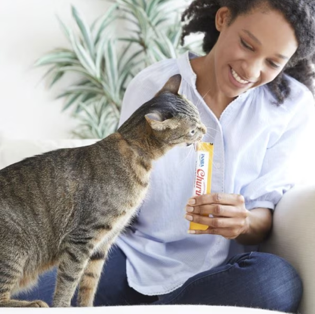 a pet parent feeding their cat a Churu