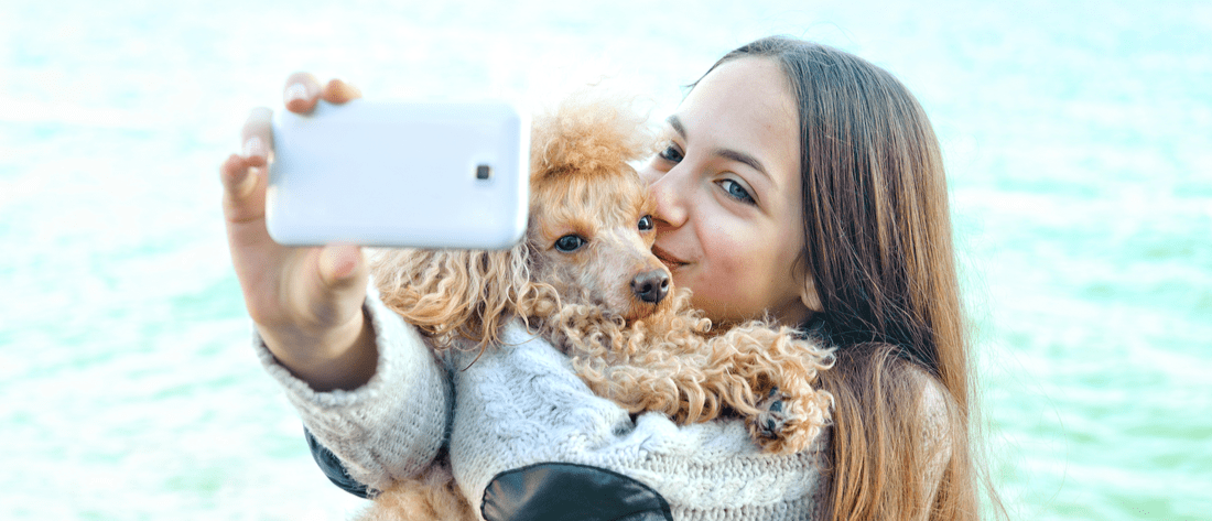 3 Pet Influencers Share Their Instagram Tips - PetPlace