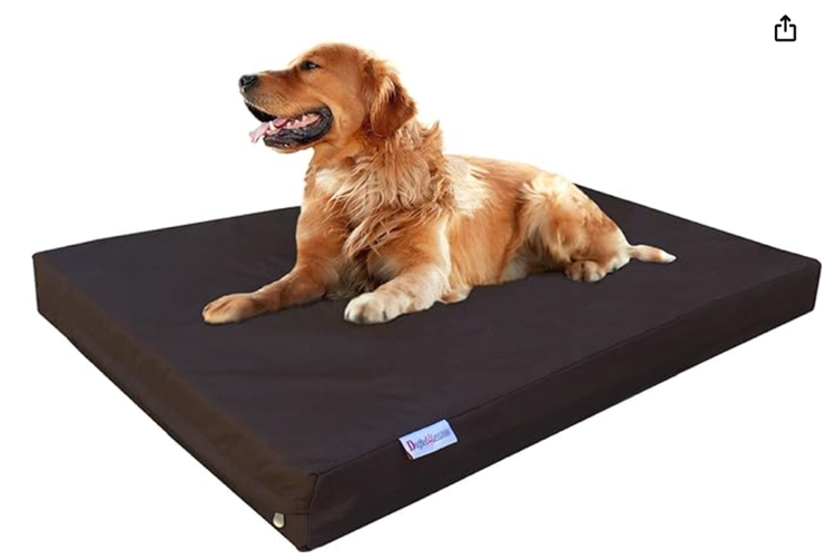 a Labrador Retriever laying on a firm square bed