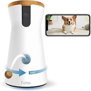 a camera dispensing treats and a phone showing a corgi