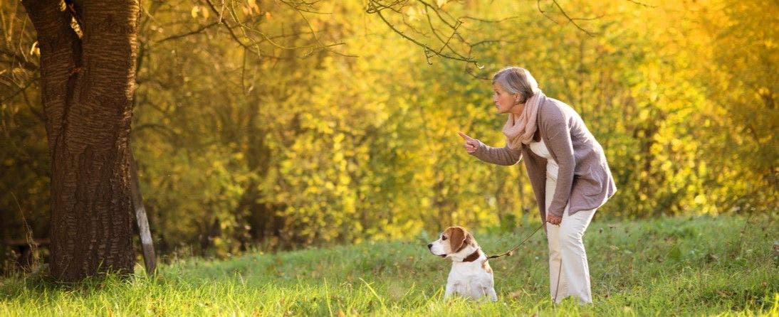 the-benefits-of-companion-pets-for-seniors-petplace