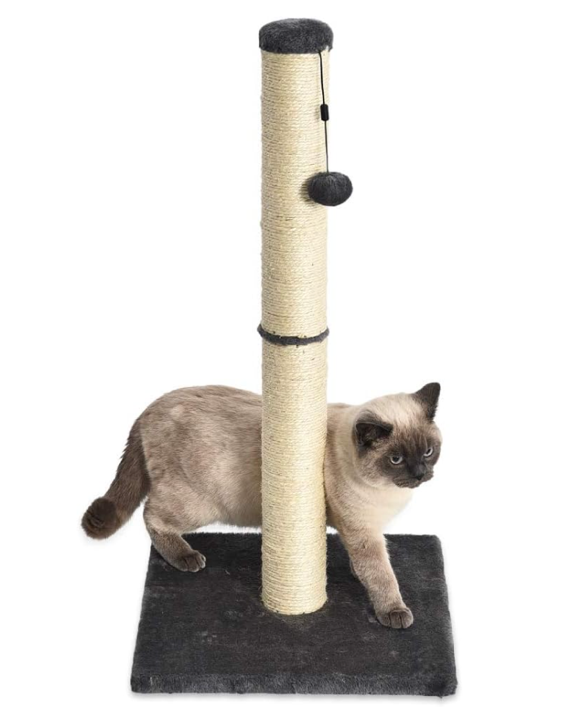 a cat scratching itself on a tall cat scratcher