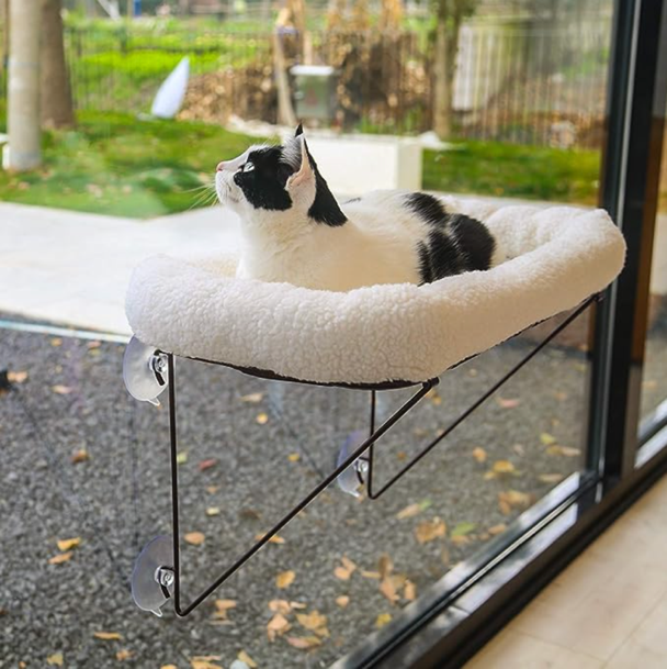 a cat sitting on a bed suctioned to the middle of a window