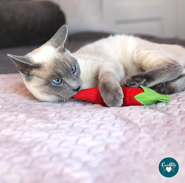 a cat chewing a toy filled with catnip