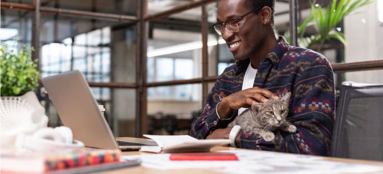 A staffmember pets the office cat while he works.