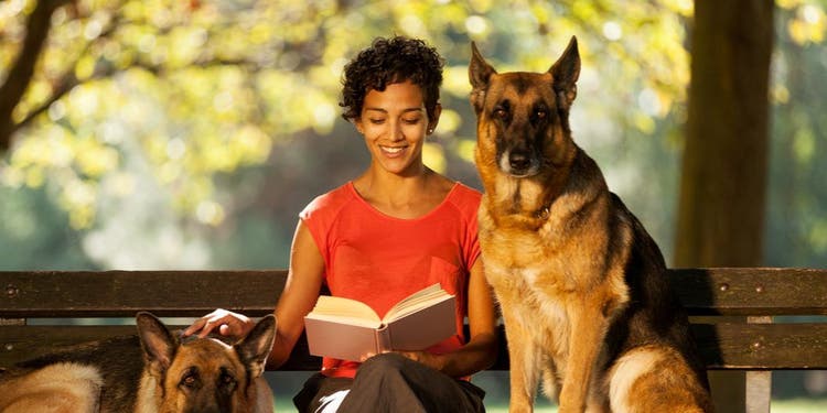 A pet sitter reads to a pair of dogs.