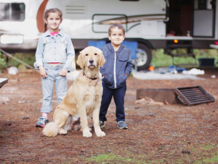 A group of kids standing next to a dog Description automatically generated