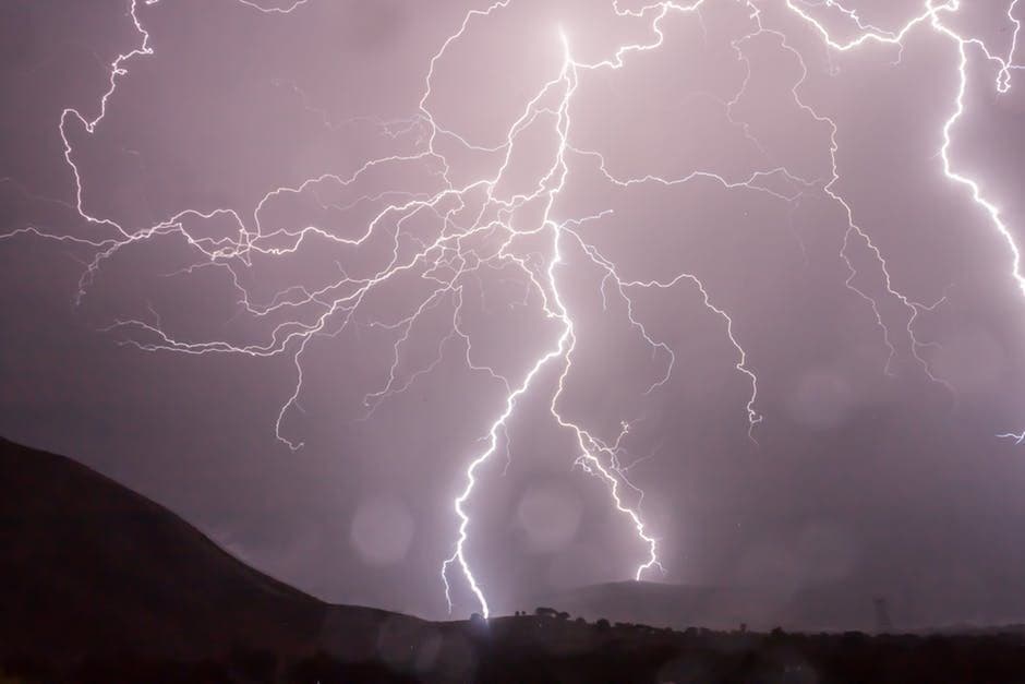 How To Keep Your Pets Safe During A Tornado Or Storm