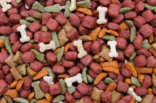 Breaking News Dog and Cat Food Recall 12 30 20 PetPlace