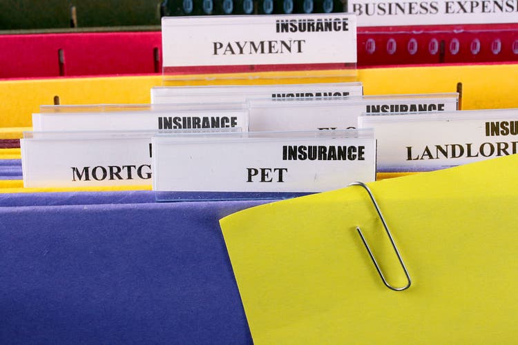 full coverage pet insurance