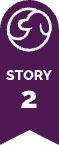 story number
