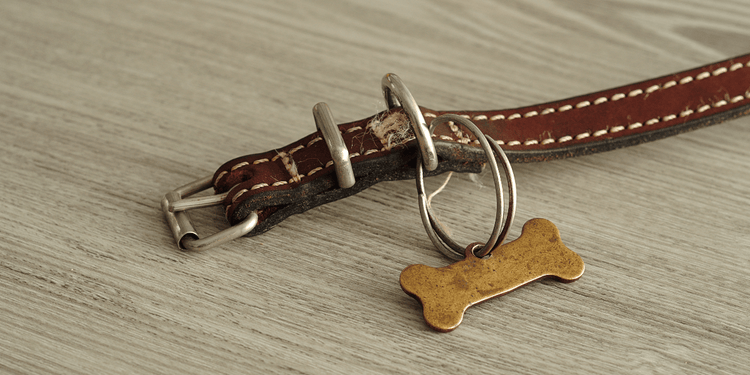 A leather dog collar without a name on a wooden table