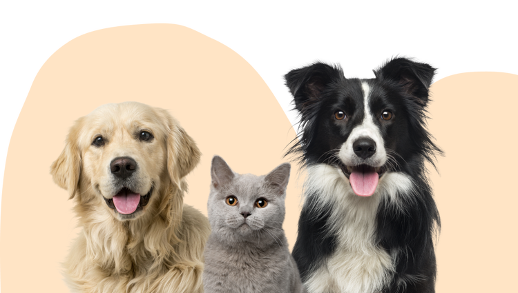 Happy pets protected by a Lifetime Protection Membership.